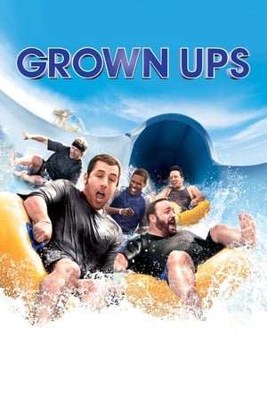 Grown Ups (2010) Hindi Dual Audio 480p BluRay 300MB