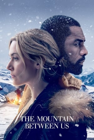 The Mountain Between Us 2017 Dual Audio Hindi Bluray Hevc [180MB]